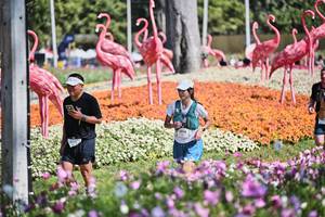 BIB: 
                            <button type="button" onclick="openModal(27794409)" class="btn btn-primary btn-sm float-right btn-popup" data-toggle="modal" data-target=".modal-high-quality">
                        <i class="fas fa-shopping-cart"></i> Add to Cart
                    </button>
                                            <button type="button" onclick="isThisMe(27794409, true)" class="btn btn-success btn-sm float-right btn-popup btn-isme hidden" data-toggle="tooltip" data-placement="bottom" title="นี่คือรูปของคุณใช่ไหม คลิกที่นี่เพื่อเอาเข้าอัลบั้ม">
                        <i class="fas fa-plus"></i> Add to album
                    </button>
                    <button type="button" onclick="isThisMe(27794409, false)" class="btn btn-warning btn-sm float-right btn-popup btn-isnotme hidden">
                        <i class="fas fa-ban"></i> Remove from album
                    </button>